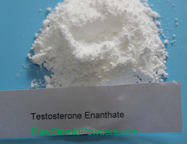 Best Buy Testosterone Enanthate