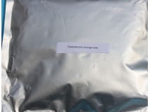 Buy Autentic Testosterone Isocaproate